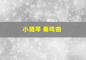 小提琴 奏鸣曲